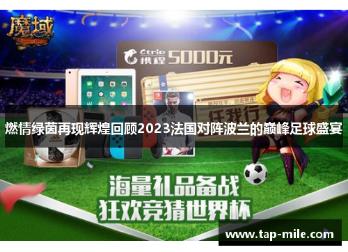 燃情绿茵再现辉煌回顾2023法国对阵波兰的巅峰足球盛宴