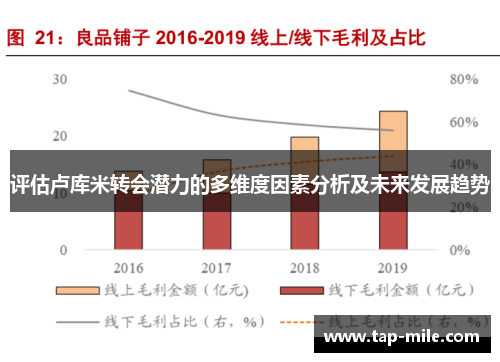 评估卢库米转会潜力的多维度因素分析及未来发展趋势